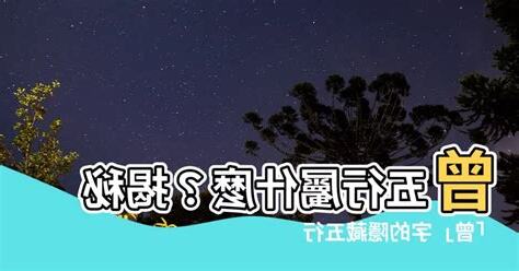 曾 五行